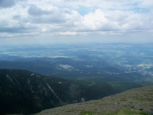 100_9793 (1)